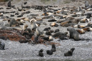 Klik hier voor meer...